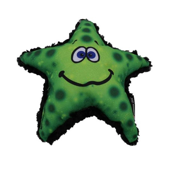 Stanley Starfish