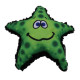 Stanley Starfish