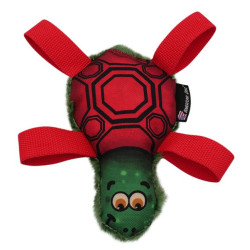 Tommy Turtle