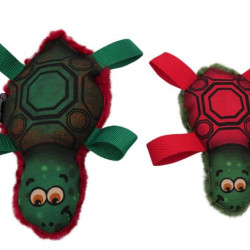 Tommy Turtle