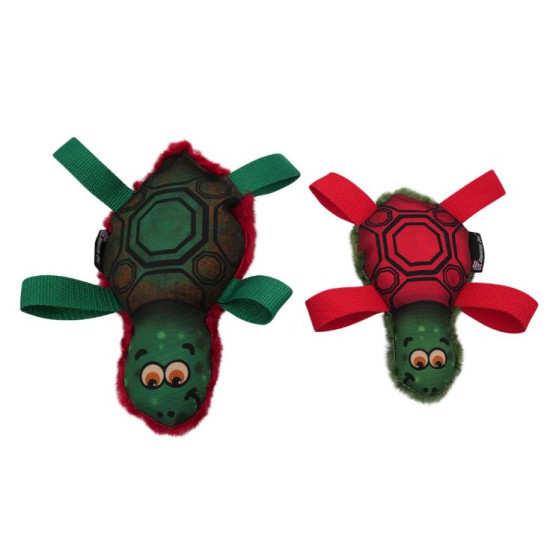 Tommy Turtle