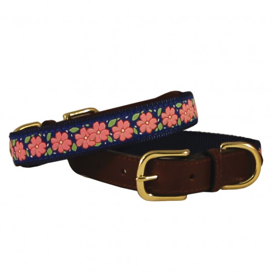 American Traditions Leather and Ribbon Dog Collar & Leash