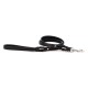Braided Leather Leash, Two-Handled Leash, Pull/Correction Tab