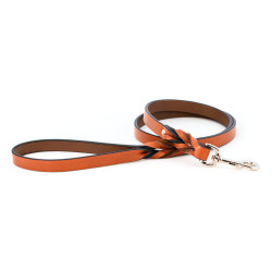 Braided Leather Leash, Two-Handled Leash, Pull/Correction Tab