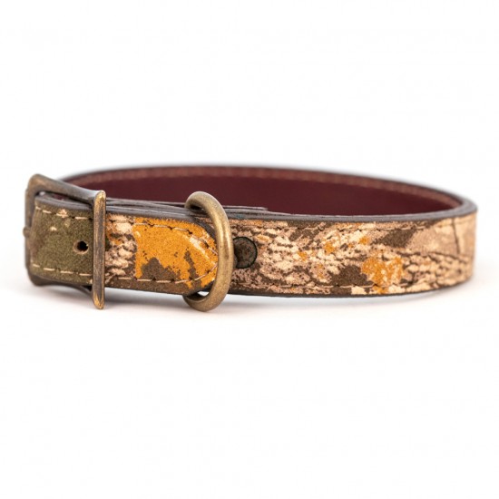 Camouflage Collar & Leash
