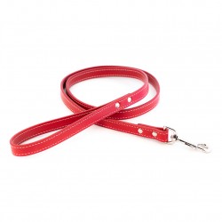 Dover Court Leash