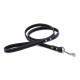 Dover Court Leash