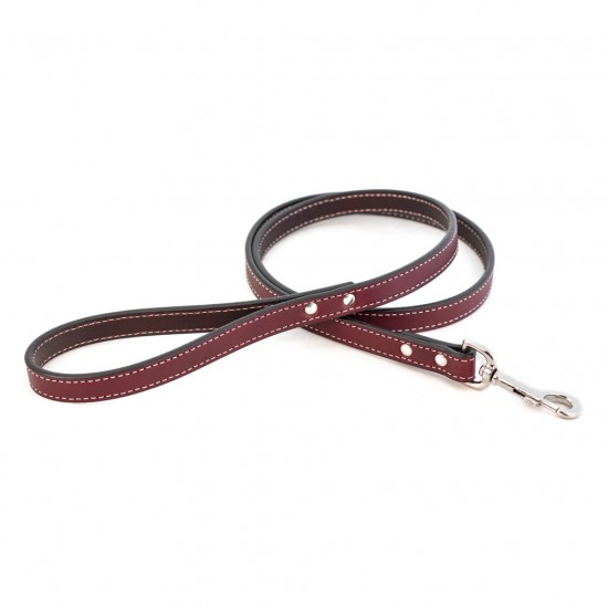 Dover Court Leash