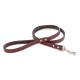 Dover Court Leash