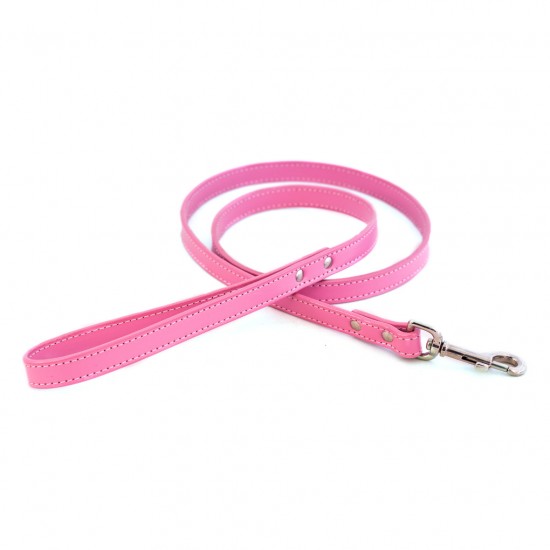 Dover Court Leash