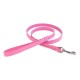 Dover Court Leash