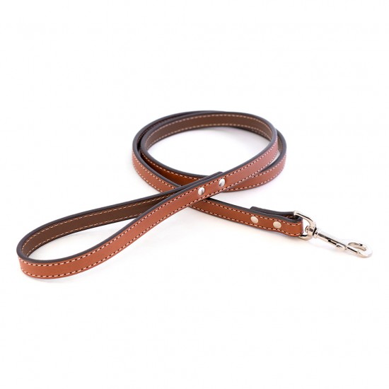 Dover Court Leash