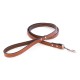 Dover Court Leash