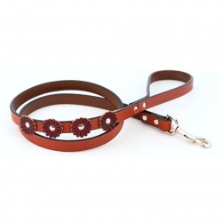 Flower Collar & Leash