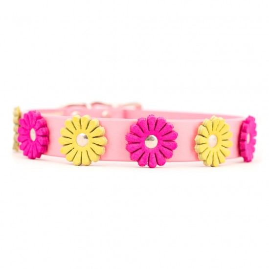 Flower Collar & Leash