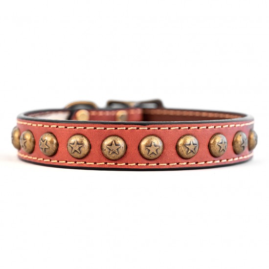 Heirloom Star Collar