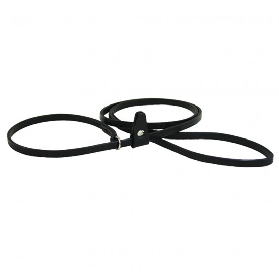 Kennel Slip Leash