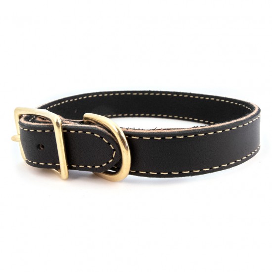 Lake Country Stitched Collar, Harness & Leash