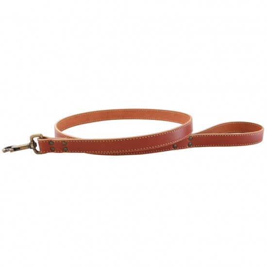 Lake Country Stitched Collar, Harness & Leash