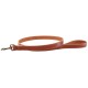 Lake Country Stitched Collar, Harness & Leash