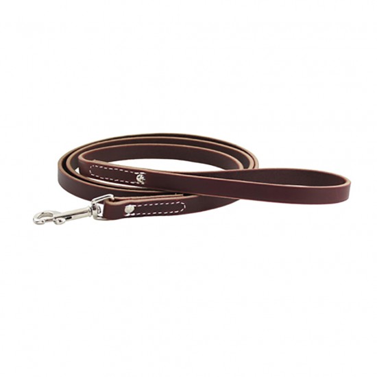 Leather Training Leash