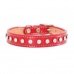 Madison & Maxwell Collar & Leash