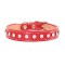 Madison & Maxwell Collar & Leash