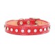 Madison & Maxwell Collar & Leash