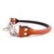 Martingdale Rolled Collar