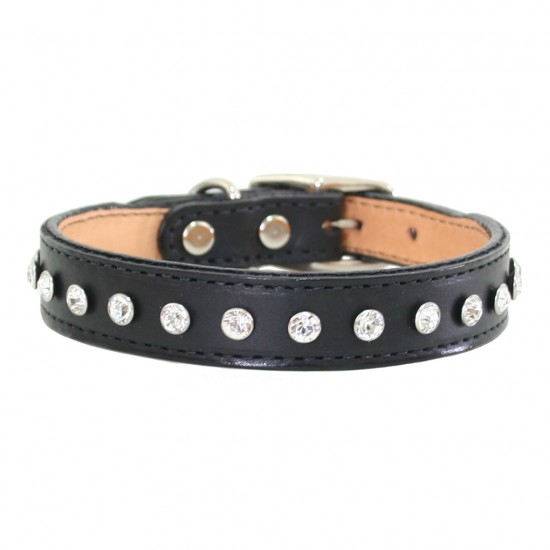 Madison & Maxwell Collar & Leash