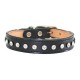 Madison & Maxwell Collar & Leash