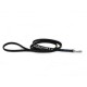 Madison & Maxwell Collar & Leash