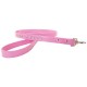 Madison & Maxwell Collar & Leash