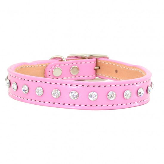 Madison & Maxwell Collar & Leash