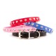 Minnie Maddie Collar