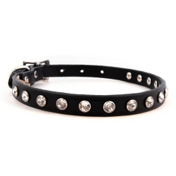 Minnie Maddie Collar