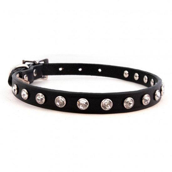 Minnie Maddie Collar