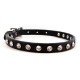 Minnie Maddie Collar