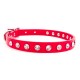 Minnie Maddie Collar