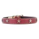 Heirloom Old Glory Collar