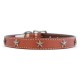 Heirloom Old Glory Collar