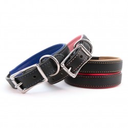 Padded Leather Collar & Leash