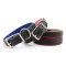 Padded Leather Collar & Leash