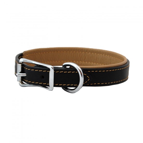 Padded Leather Collar & Leash