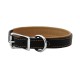 Padded Leather Collar & Leash