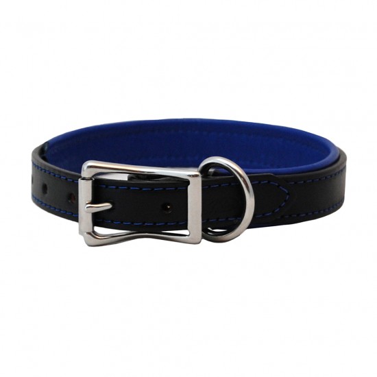 Padded Leather Collar & Leash