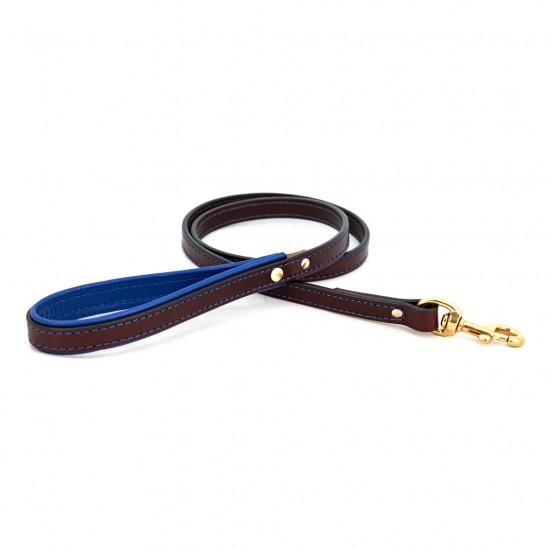 Padded Leather Collar & Leash