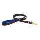 Padded Leather Collar & Leash