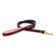 Padded Leather Collar & Leash