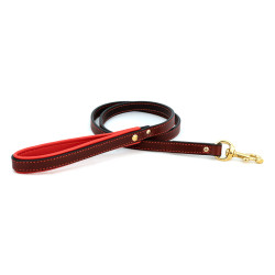 Padded Leather Collar & Leash